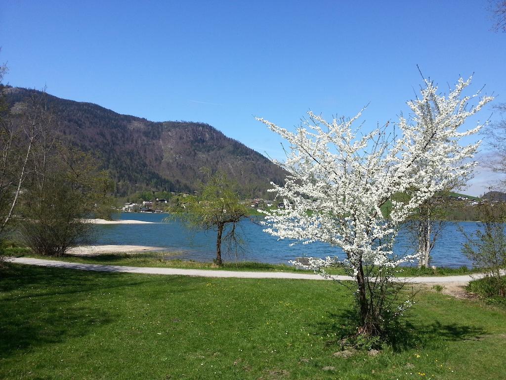 Buchauer-Tirol / Landhaus Buchauer Thiersee Dış mekan fotoğraf